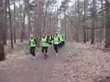 Bosloop Brecht - 01.jpg